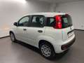 Fiat Panda NEW 1.0 HYBRID - thumbnail 4