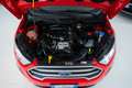 Ford EcoSport 1.0 Ecoboost Plus 100CV Rouge - thumbnail 13
