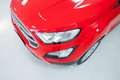 Ford EcoSport 1.0 Ecoboost Plus 100CV Rouge - thumbnail 16