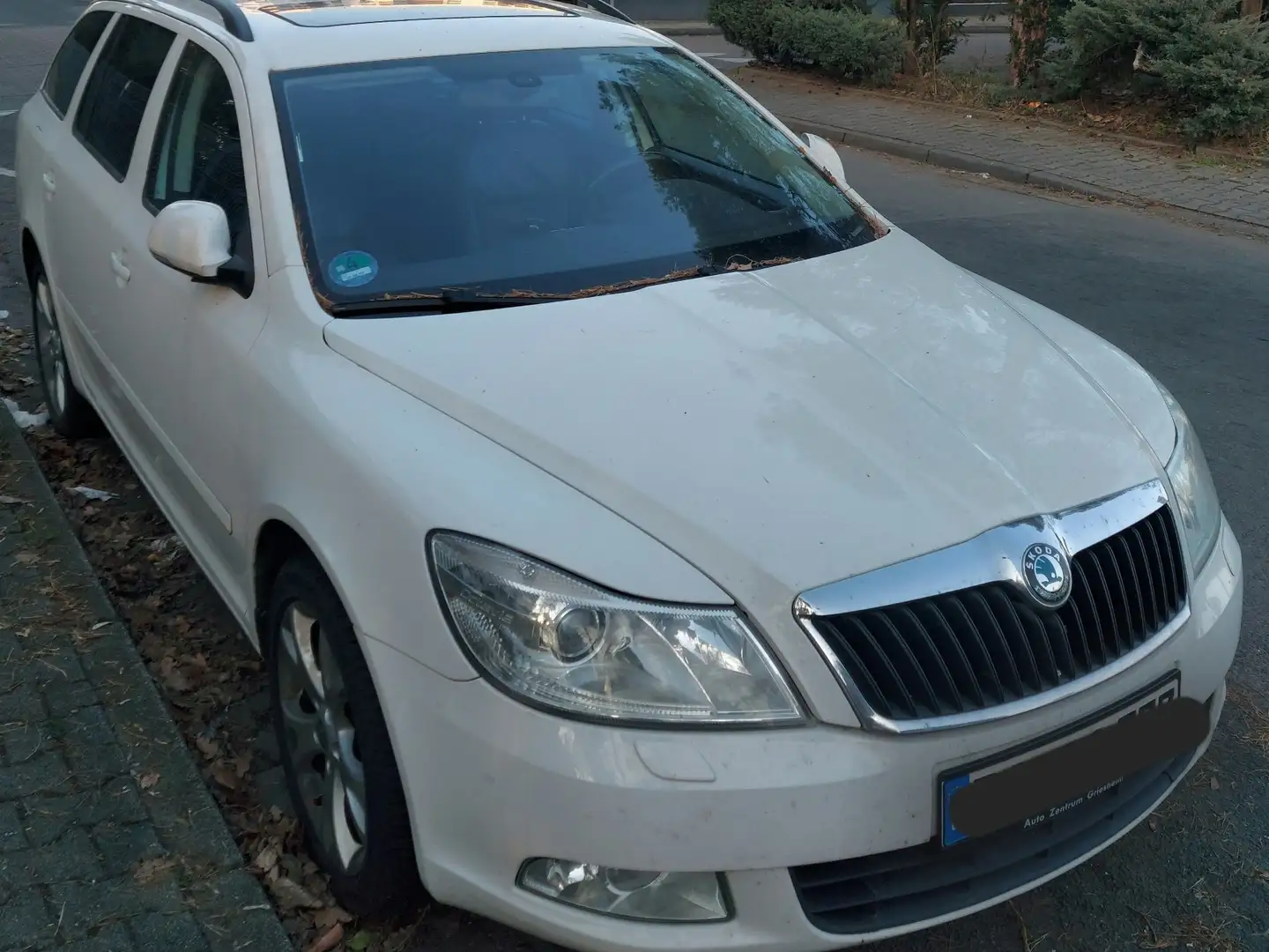 Skoda Octavia Elegance Білий - 2