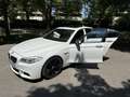BMW M550 BMW  M 550 d xDrive Sport-Aut. *RARITÄT* M-Paket Alb - thumbnail 13