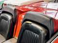 Ford Thunderbird Roadster Rood - thumbnail 18