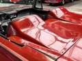 Ford Thunderbird Roadster Rood - thumbnail 17
