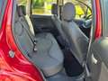 Citroen C3 1.1i Image 5-deurs *apk:04-2026* Rood - thumbnail 14