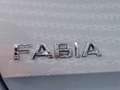 Skoda Fabia 1.0 TSI 96pk Business Edition Travel pakket Zilver - thumbnail 22