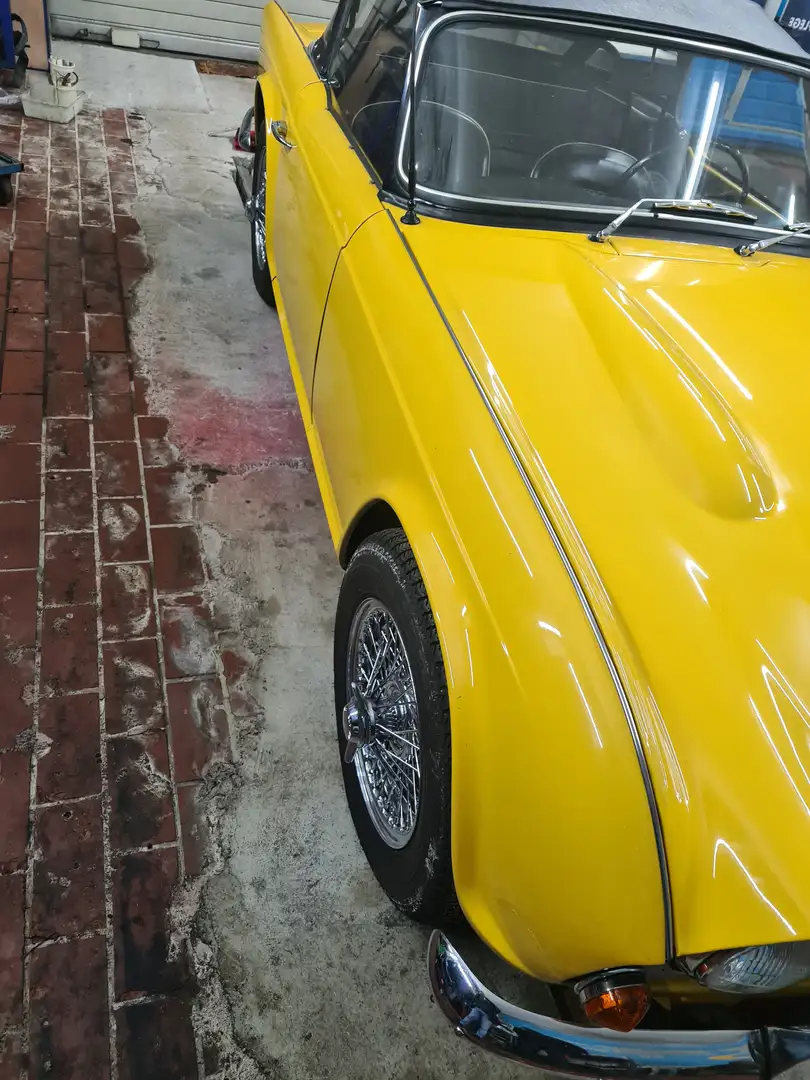 Triumph TR4 Gelb - 2