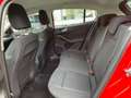 Ford Focus 1.5 ecoblue Business s&s 95 CV UNICO PROPRIETARIO Rosso - thumbnail 7