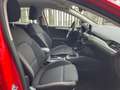 Ford Focus 1.5 ecoblue Business s&s 95 CV UNICO PROPRIETARIO Rosso - thumbnail 11