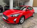Ford Focus 1.5 ecoblue Business s&s 95 CV UNICO PROPRIETARIO Rosso - thumbnail 1