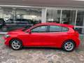 Ford Focus 1.5 ecoblue Business s&s 95 CV UNICO PROPRIETARIO Rosso - thumbnail 3