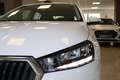 Skoda Fabia 1.0 TSI Ambition 70kW Blanc - thumbnail 16