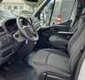 Opel Movano 2.3 CDTi Mixto L3H2 3,5t 1-Hd. Weiß - thumbnail 13