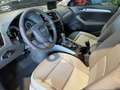 Audi Q5 2.0 TFSI hybrid quattro *Pano,B&O,AHK,Tempo.* Rot - thumbnail 7