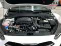 Kia 1.0 T-GDi 74kW (100CV) Tech Білий - thumbnail 14