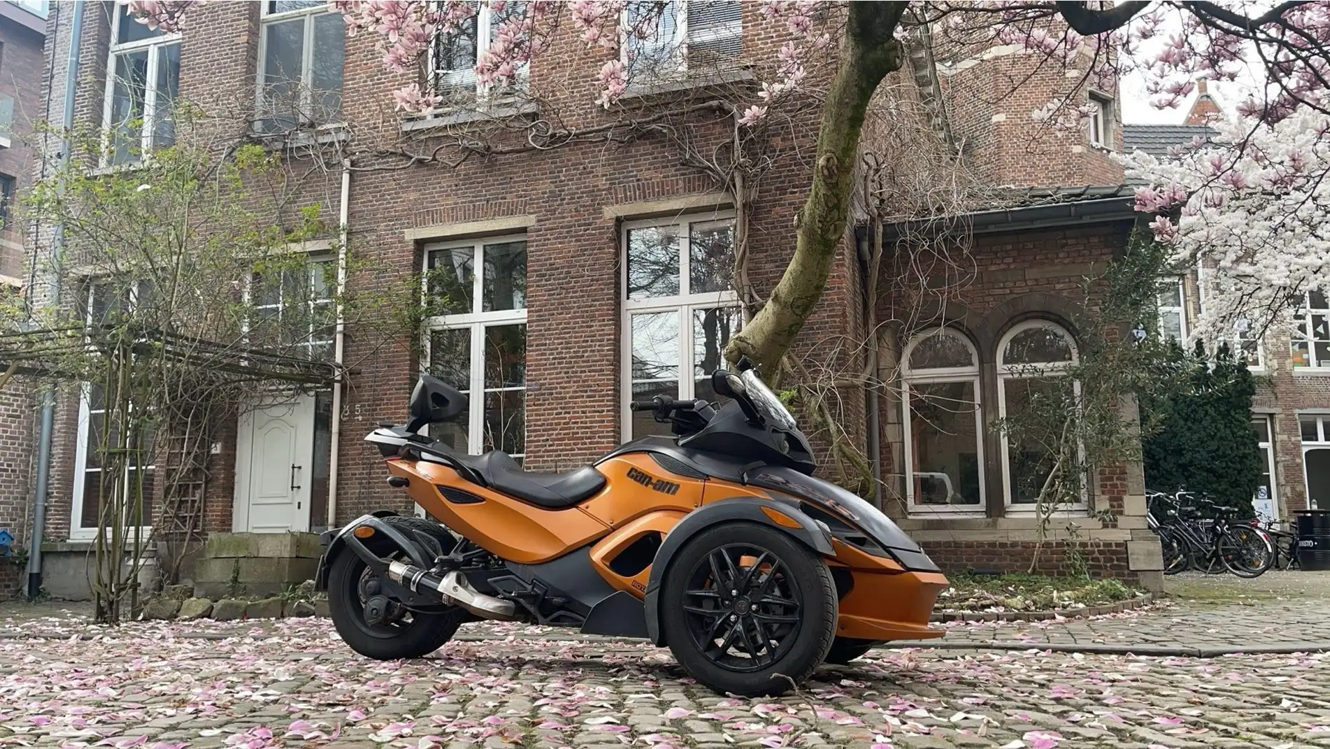 Can Am Spyder SM5 Can am spyder rss Sm5 Oro - 1