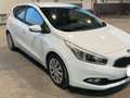 Kia Ceed / cee'd 1.6CRDi Drive 110 Weiß - thumbnail 11