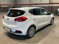 Kia Ceed / cee'd 1.6CRDi Drive 110 Weiß - thumbnail 4