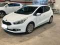 Kia Ceed / cee'd 1.6CRDi Drive 110 Weiß - thumbnail 10