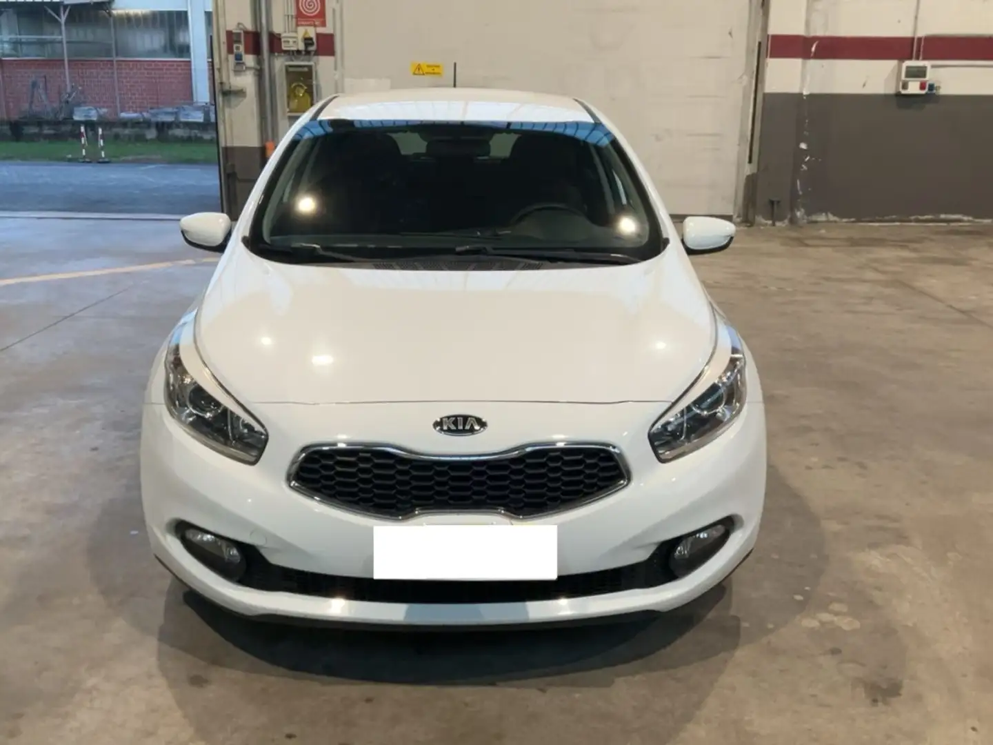 Kia Ceed / cee'd 1.6CRDi Drive 110 Weiß - 1