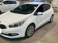 Kia Ceed / cee'd 1.6CRDi Drive 110 Weiß - thumbnail 12