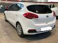 Kia Ceed / cee'd 1.6CRDi Drive 110 Weiß - thumbnail 2