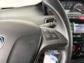 Lancia Ypsilon 5 Porte 1.2  Elefantino Nero - thumbnail 12