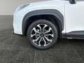 Toyota Yaris Cross Yaris Cross - 1,5 l 4x2 HY  Active Drive Weiß - thumbnail 15