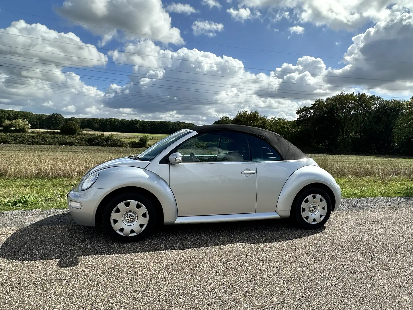 Volkswagen Beetle - 1