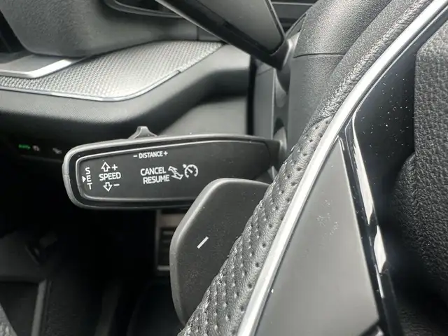 Skoda Kodiaq 2,0 TDI 4x4 Sportline DSG Ansicht 22