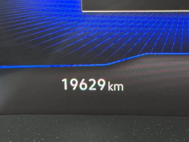 Volkswagen Polo view 17