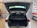 Kia Sportage Sportage 2.0 CRDI 185 CV AT8 AWD Mild Hybrid 48V G Bianco - thumbnail 12
