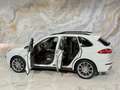 Porsche Cayenne II 3,0 V6 262PS DIESEL * SPORT DESIGN * 2.BESITZ * Weiß - thumbnail 12