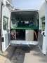Ford Transit Bus Ehemaliger Schulbus als Camper umgebaut Weiß - thumbnail 15