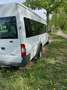 Ford Transit Bus Ehemaliger Schulbus als Camper umgebaut Weiß - thumbnail 1