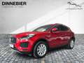 Jaguar E-Pace S P 250 AWD 360 ACC CAM LED NAVI PANO TWA Rood - thumbnail 2