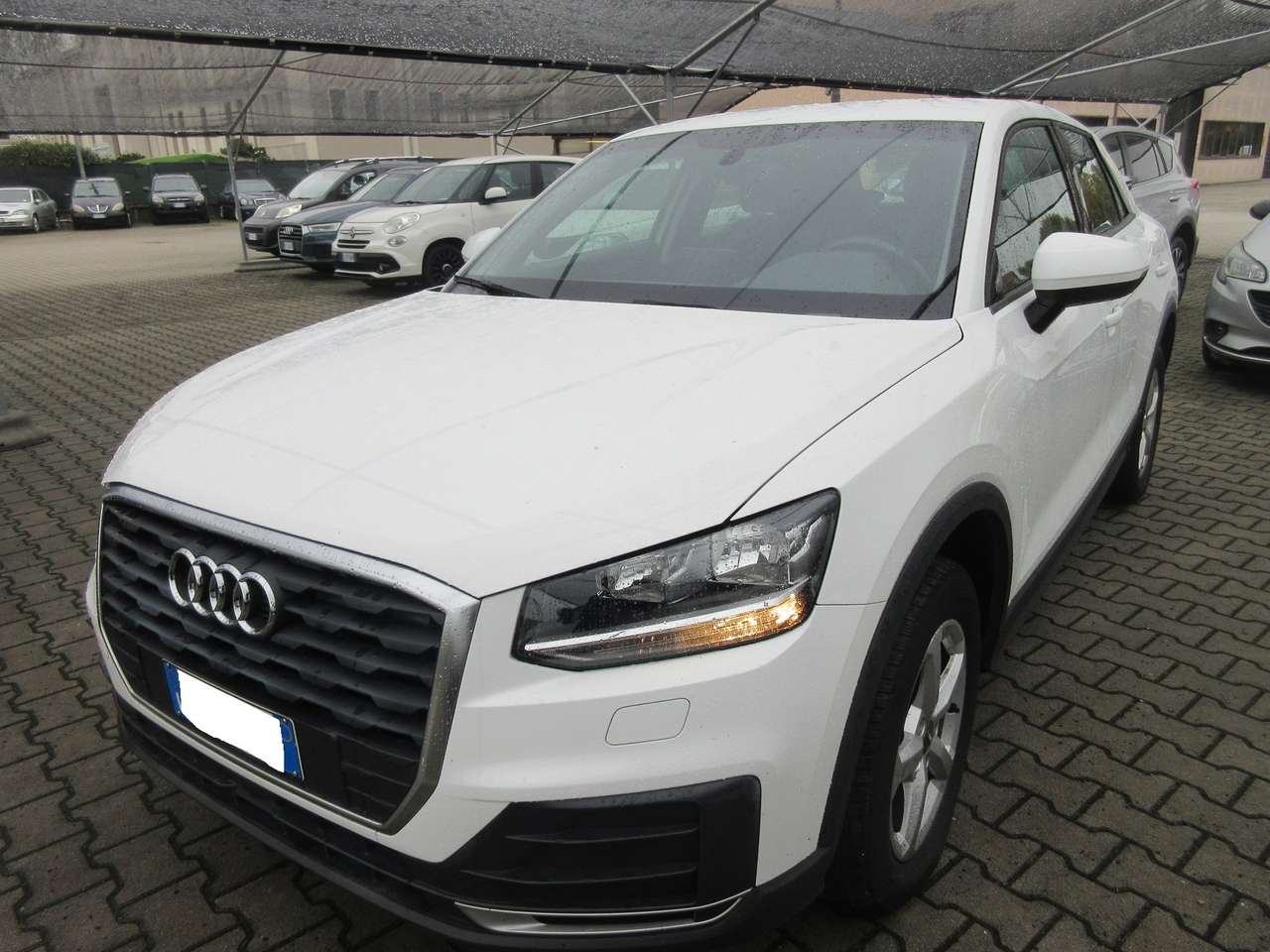 Audi Q2 Q2 I 2017 30 1.6 tdi Business s-tronic my19
