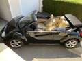 Volkswagen New Beetle Vollausstattung Schwarz - thumbnail 9