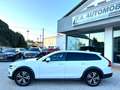 Volvo V90 Cross Country B4 (d) AWD Geartronic Business Pro Bianco - thumbnail 10