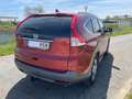 Honda CR-V 2.2i-DTEC Lifestyle 4x4 Rot - thumbnail 23