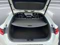 Kia ProCeed / pro_cee'd pro1.6 t-gdi gt 204cv dct Blanc - thumbnail 11