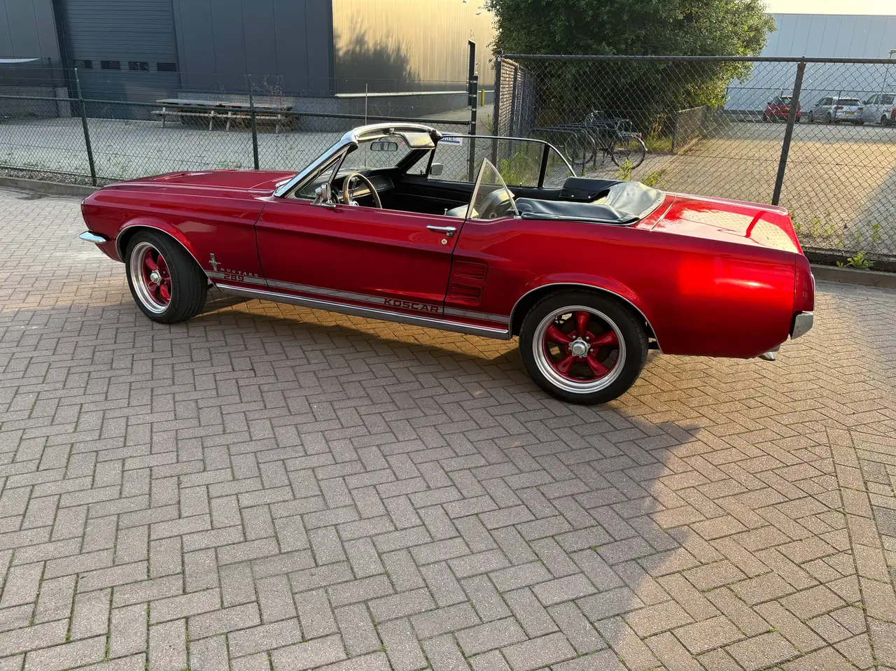 Ford Mustang Convertible 1967 V8 289 -NL Kenteken, foto 3