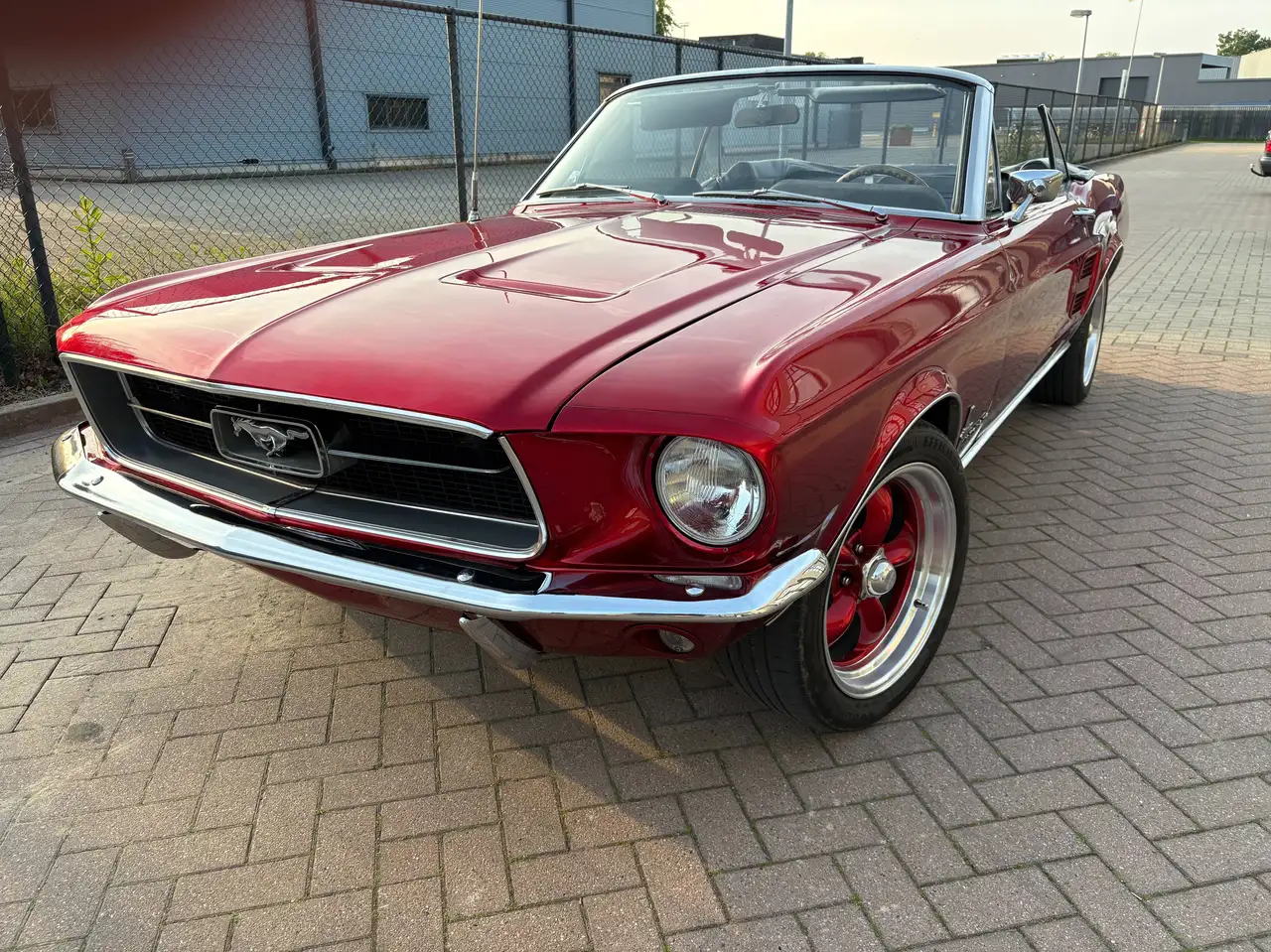 Ford Mustang Convertible 1967 V8 289 -NL Kenteken, foto 5