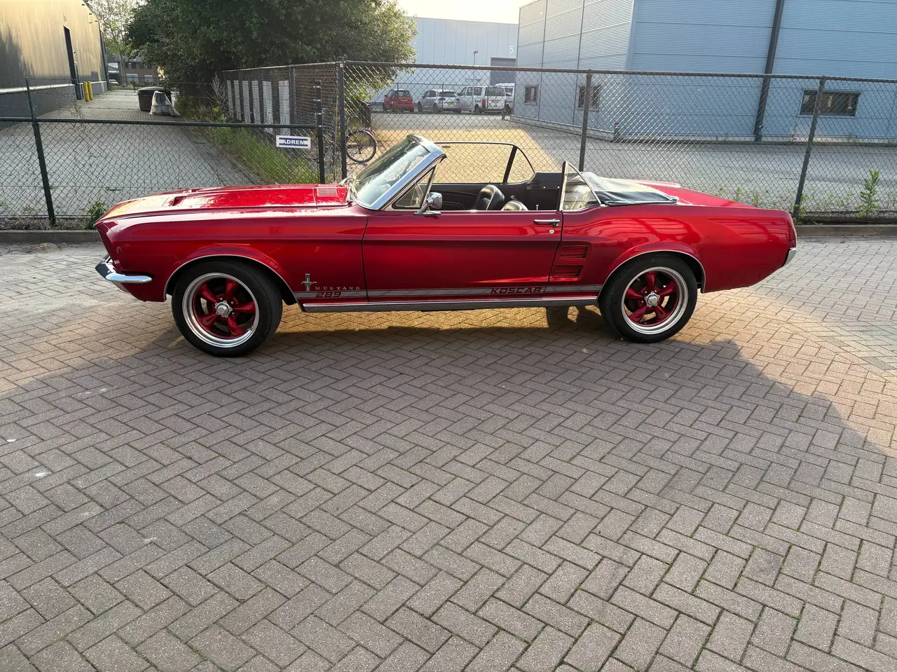 Ford Mustang Convertible 1967 V8 289 -NL Kenteken, foto 1