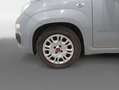 Fiat Panda City Life Hybrid 1.0 Gse 51kw (70CV) Gris - thumbnail 11
