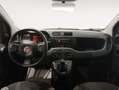 Fiat Panda City Life Hybrid 1.0 Gse 51kw (70CV) Gris - thumbnail 8