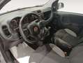 Fiat Panda City Life Hybrid 1.0 Gse 51kw (70CV) Gris - thumbnail 16
