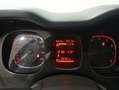 Fiat Panda City Life Hybrid 1.0 Gse 51kw (70CV) Gris - thumbnail 14