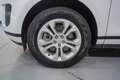 Land Rover Range Rover Evoque 2.0D MHEV S AWD Aut. 150 Blanco - thumbnail 11