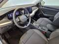 Skoda Octavia 4x4 Selection TSI DSG Silber - thumbnail 3