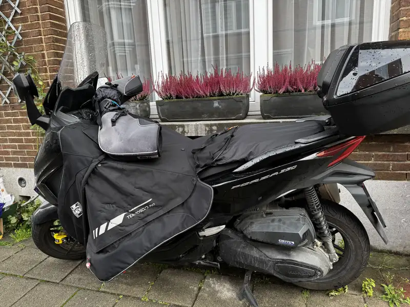 Honda Forza 350 - foto 6